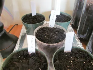 Herb Markers
