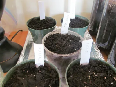 Herb Markers