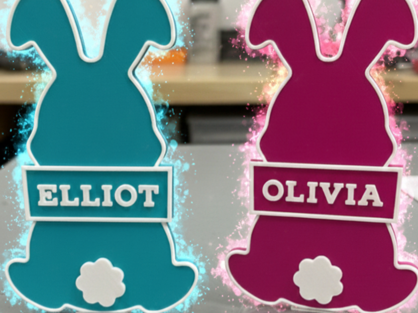 Customizable Easter Bunny Name Plate / Door Sign