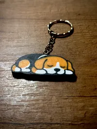 Beagle