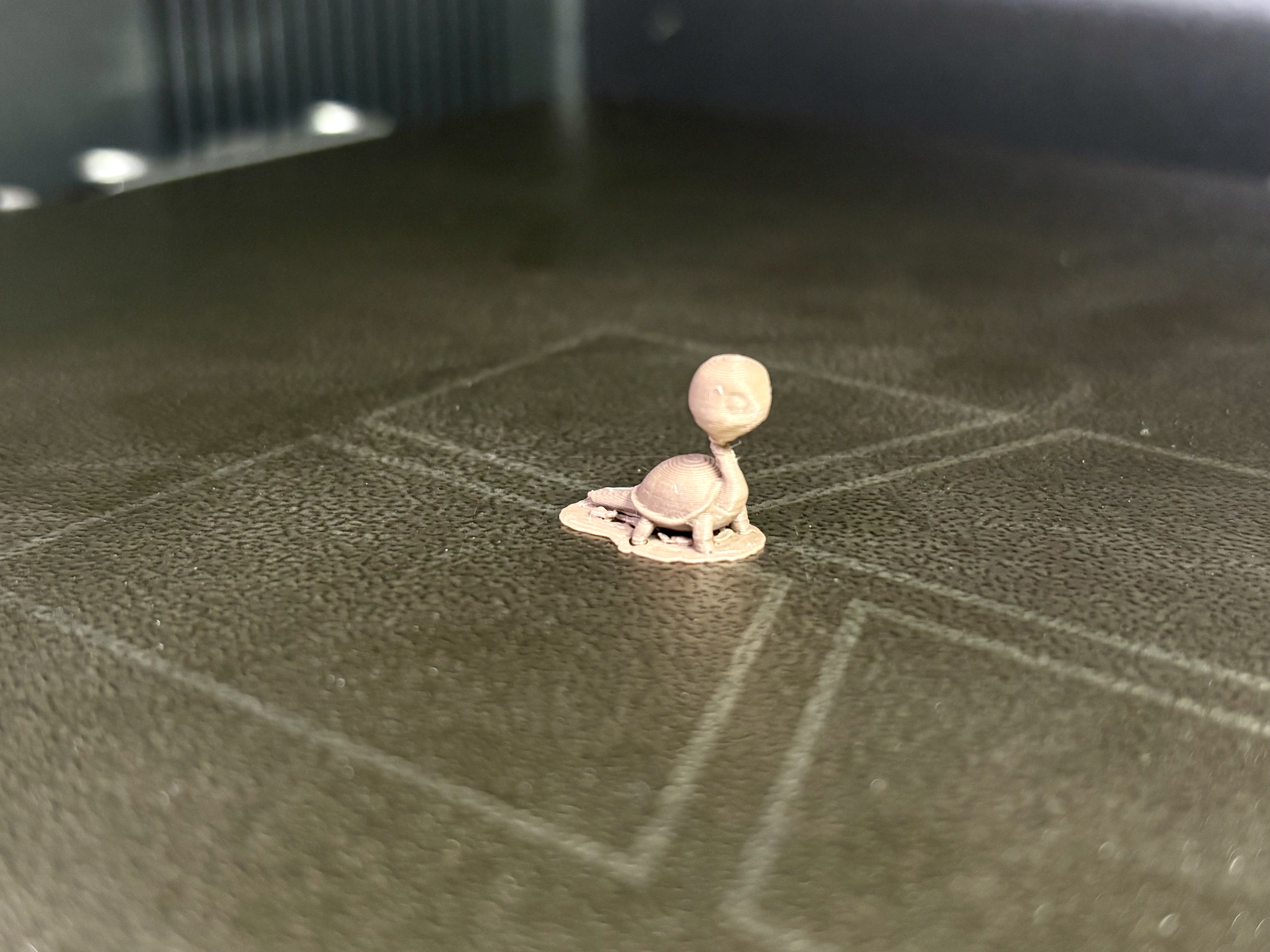 Miniatura 1 do modelo 3D Tiny Turtle
