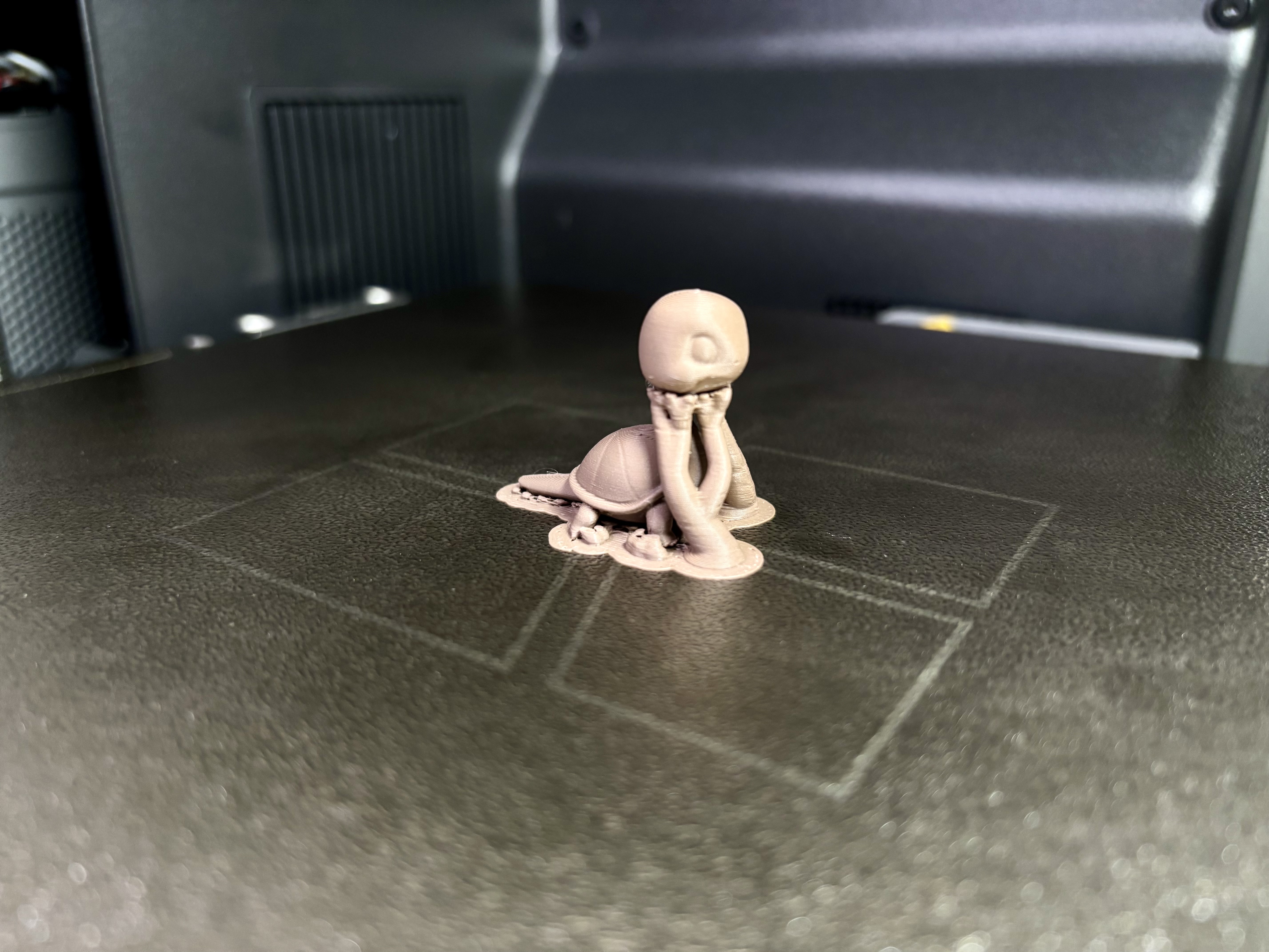 Miniatura 3 do modelo 3D Tiny Turtle