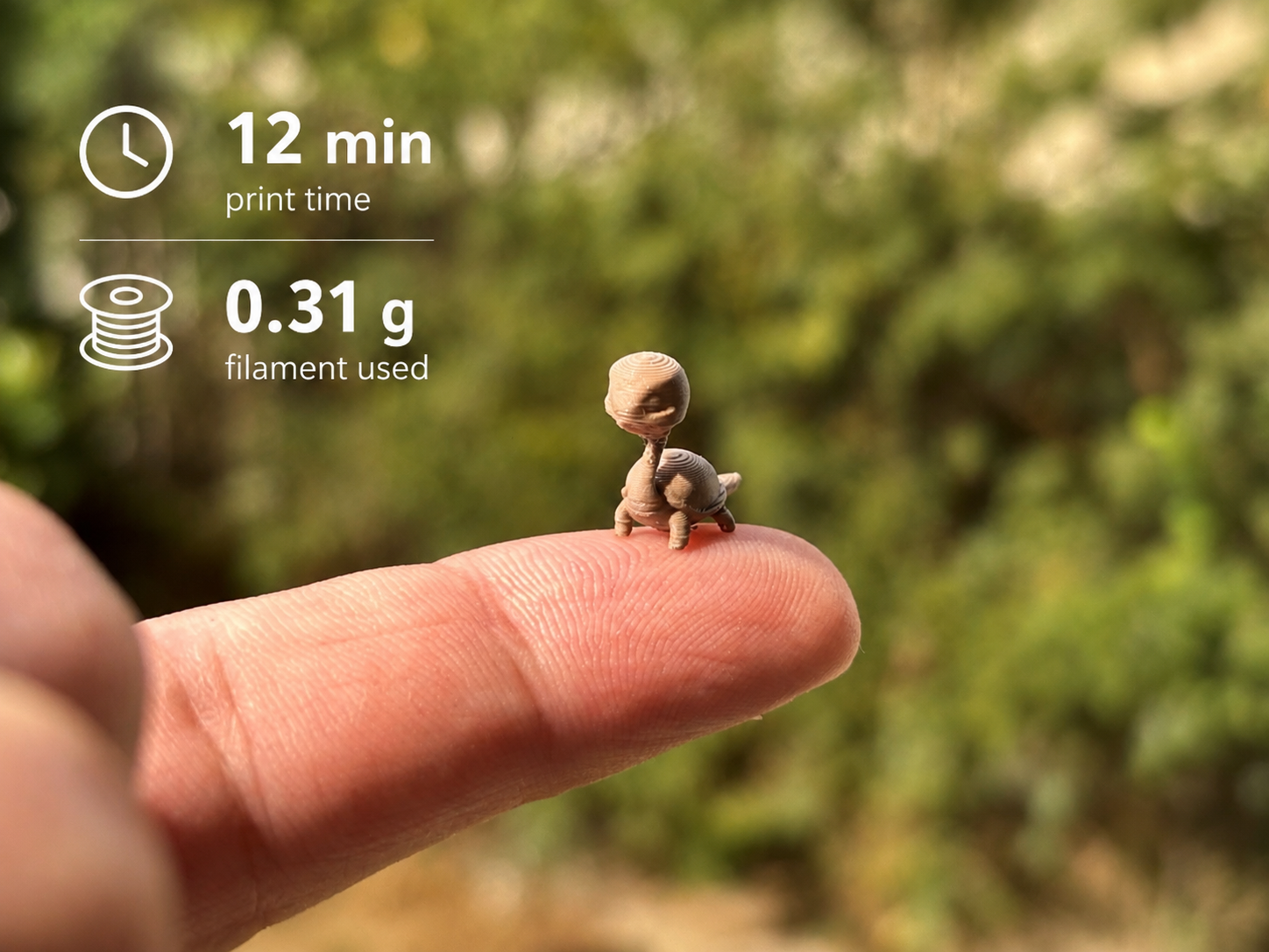Tiny Turtle