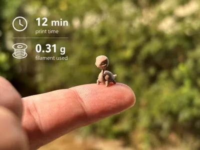 Tiny Pocket Turtle