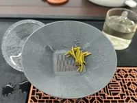 0.2mm 层高, 2 层墙, 5% 填充