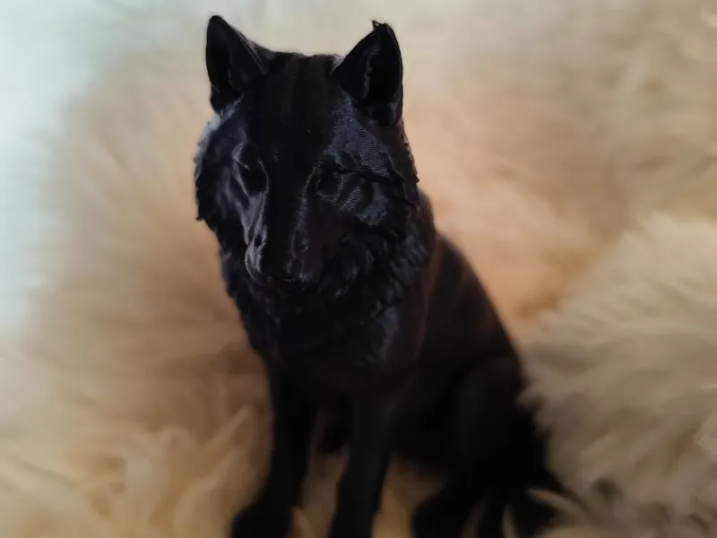 Wolf