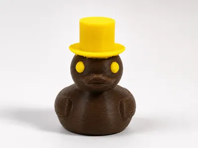 Duck with Hat