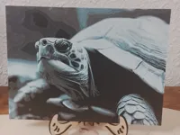 0.08mm layer, 2 walls, 100% infill