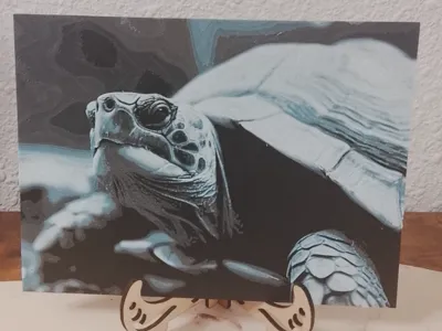 Turtle