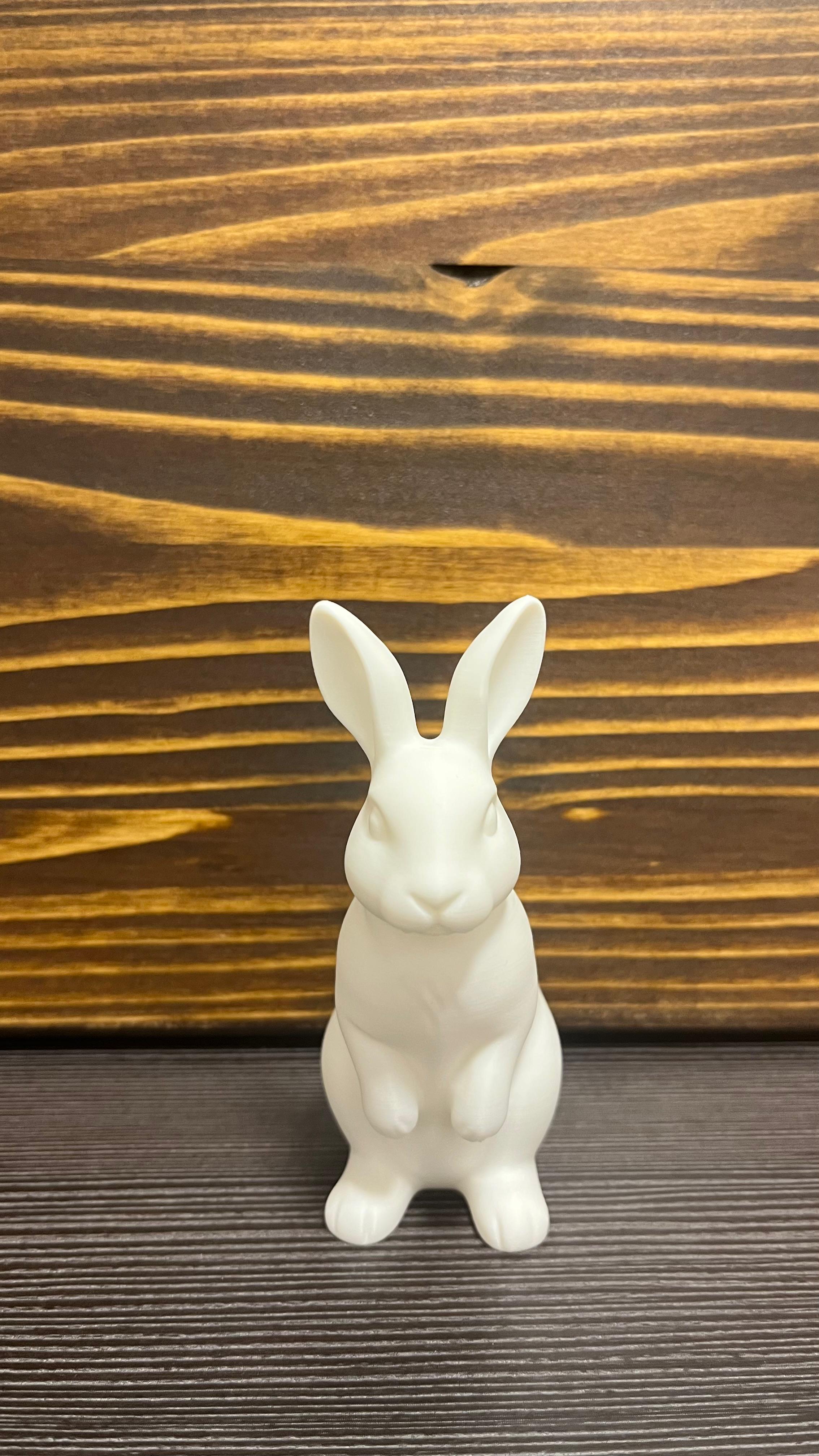 Miniatura 1 do modelo 3D Easter Bunnies (Standing & Lying)