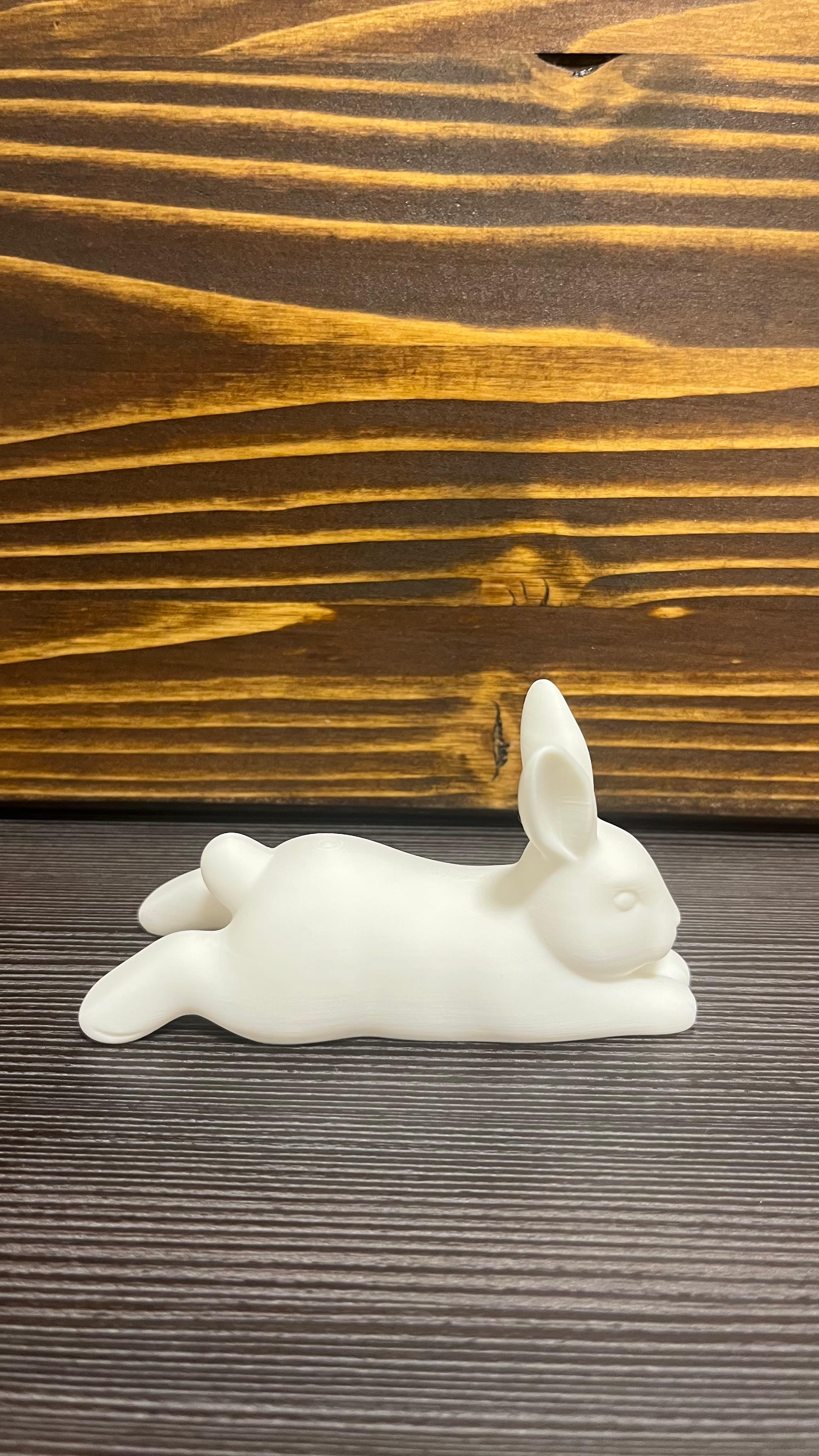 Miniatura 2 do modelo 3D Easter Bunnies (Standing & Lying)