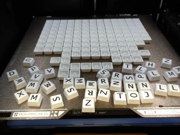 https://makerworld.bblmw.com/makerworld/model/USd6dbaeb31533dd/design/4b0c3189a4420f31.jpg