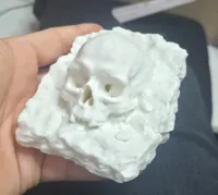 0.2mm layer, 3 walls, 10% infill