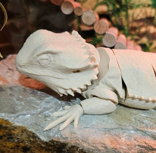 Miniatura 2 do modelo 3D Realistic Flexi Bearded Dragon