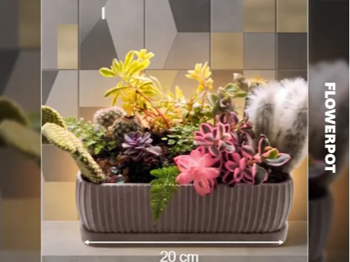 Suculent & cactus pot