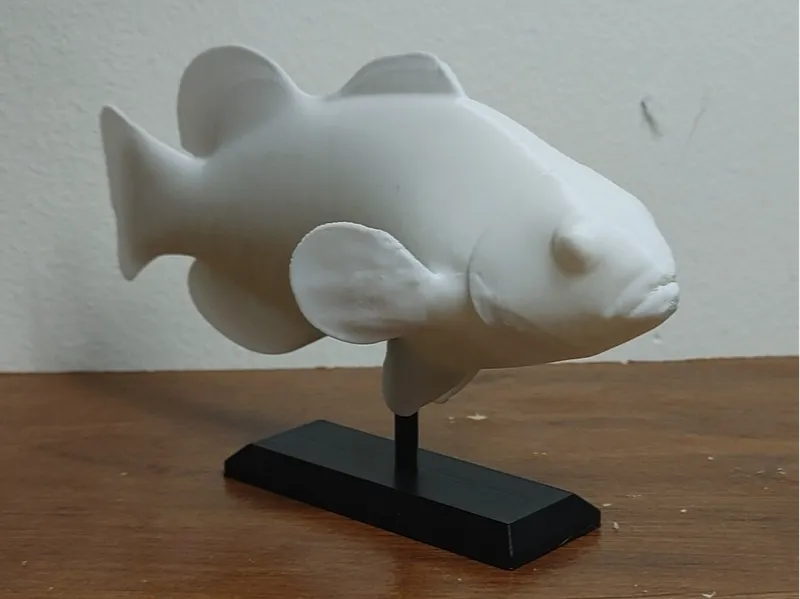 Clownfish Mount