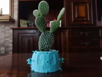 Pot de fleurs cactus — mignon et amusant — photo 1