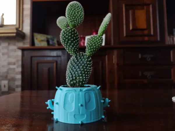 Pot de fleurs cactus — mignon et amusant
