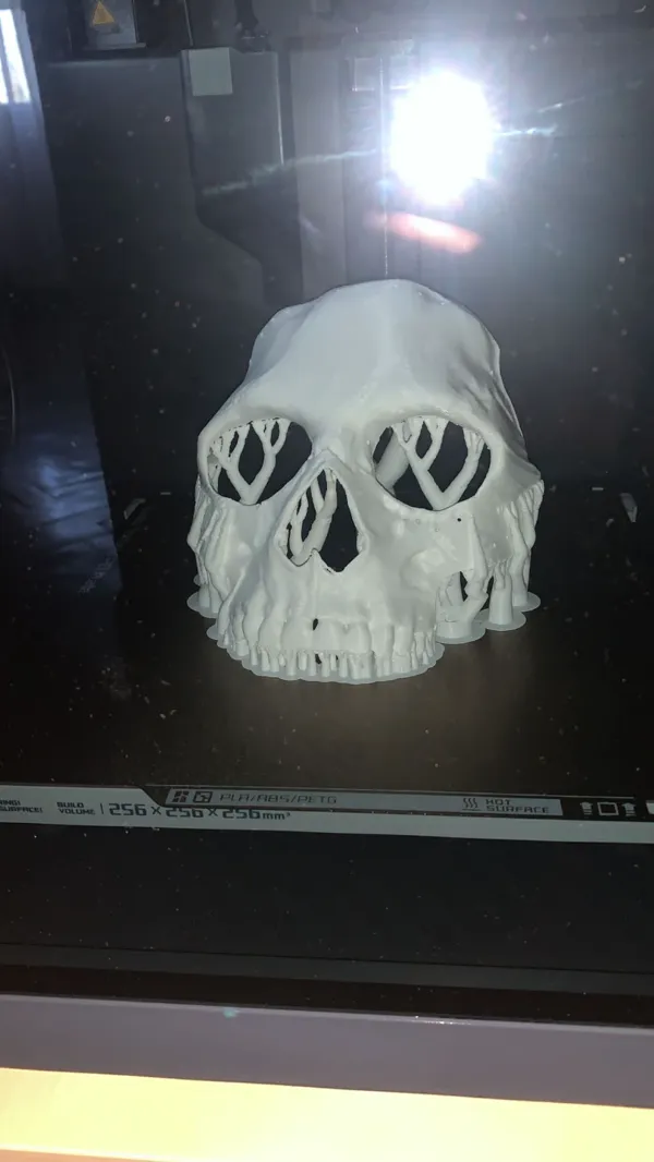 https://makerworld.bblmw.com/makerworld/model/USd6ebe55e7b912/design/2023-10-16_0272030a4675e.jpg