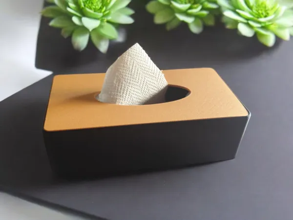https://makerworld.bblmw.com/makerworld/model/USd6ed8b38c8a227/design/2025-04-07_0fbd5b4546065.png