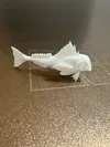 big size 1.5 hour a fish