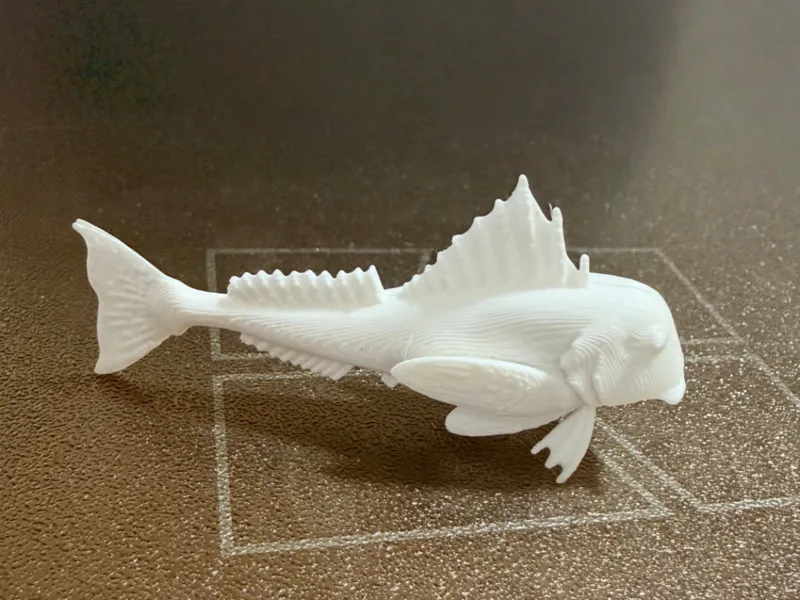 The fish