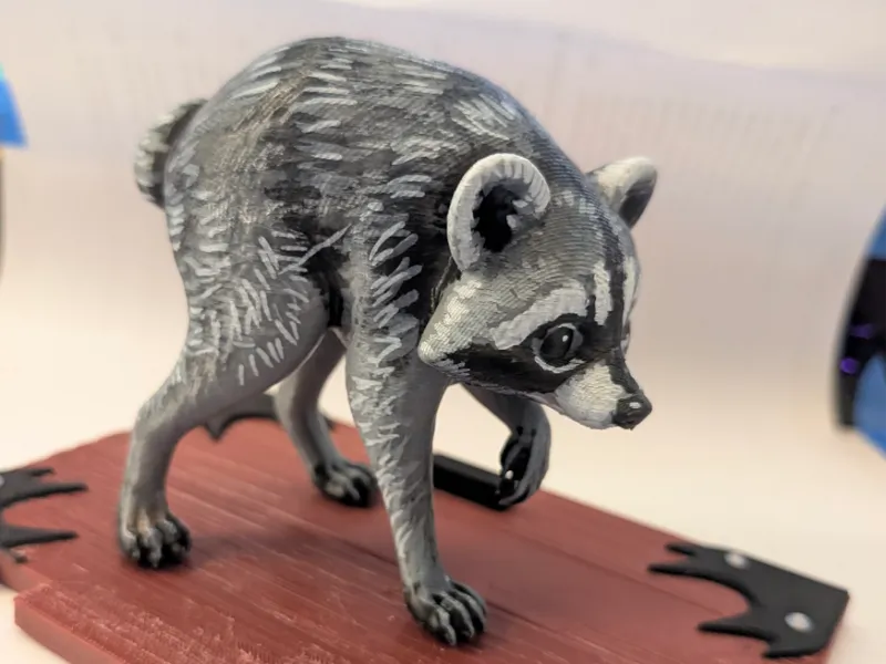 JIMOTHY The Raccoon