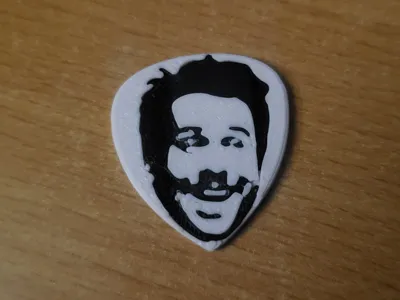 Charlie Kelly Guitar Pick