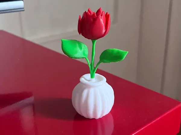 https://makerworld.bblmw.com/makerworld/model/USd6f8fe697c8120/design/2024-12-17_4f06bc20bafcc.jpg