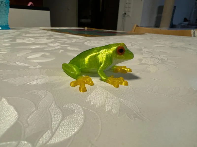 Frogg multicolor / Frosch Mehrfarbig
