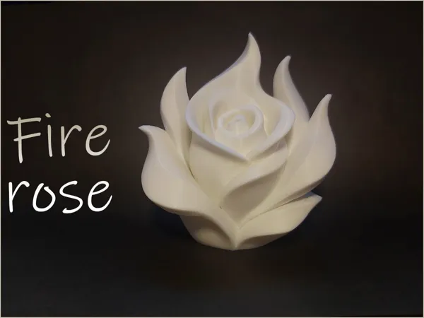 https://makerworld.bblmw.com/makerworld/model/USd6fab6b6a4a929/design/2025-06-12_2879416c5466d8.png