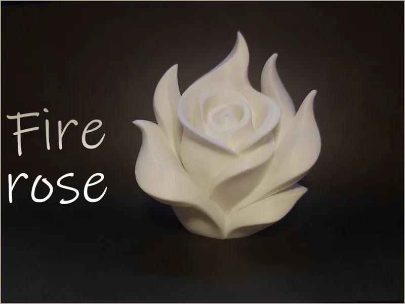 Fire rose