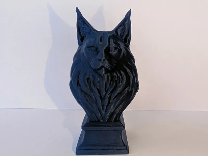 Maine coon cat bust