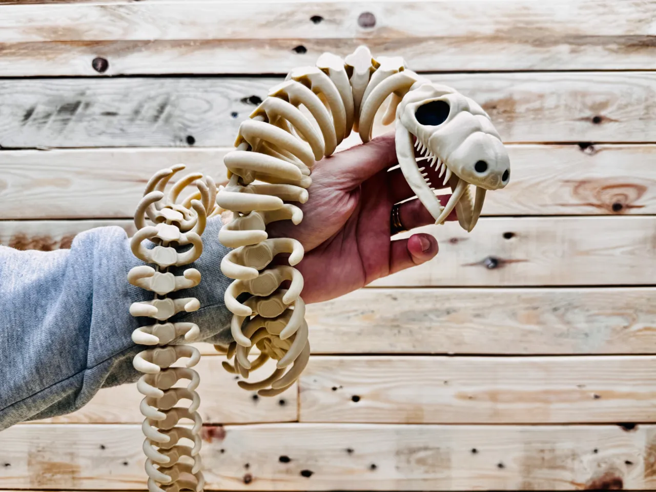 Articulated snake skeleton view 2
