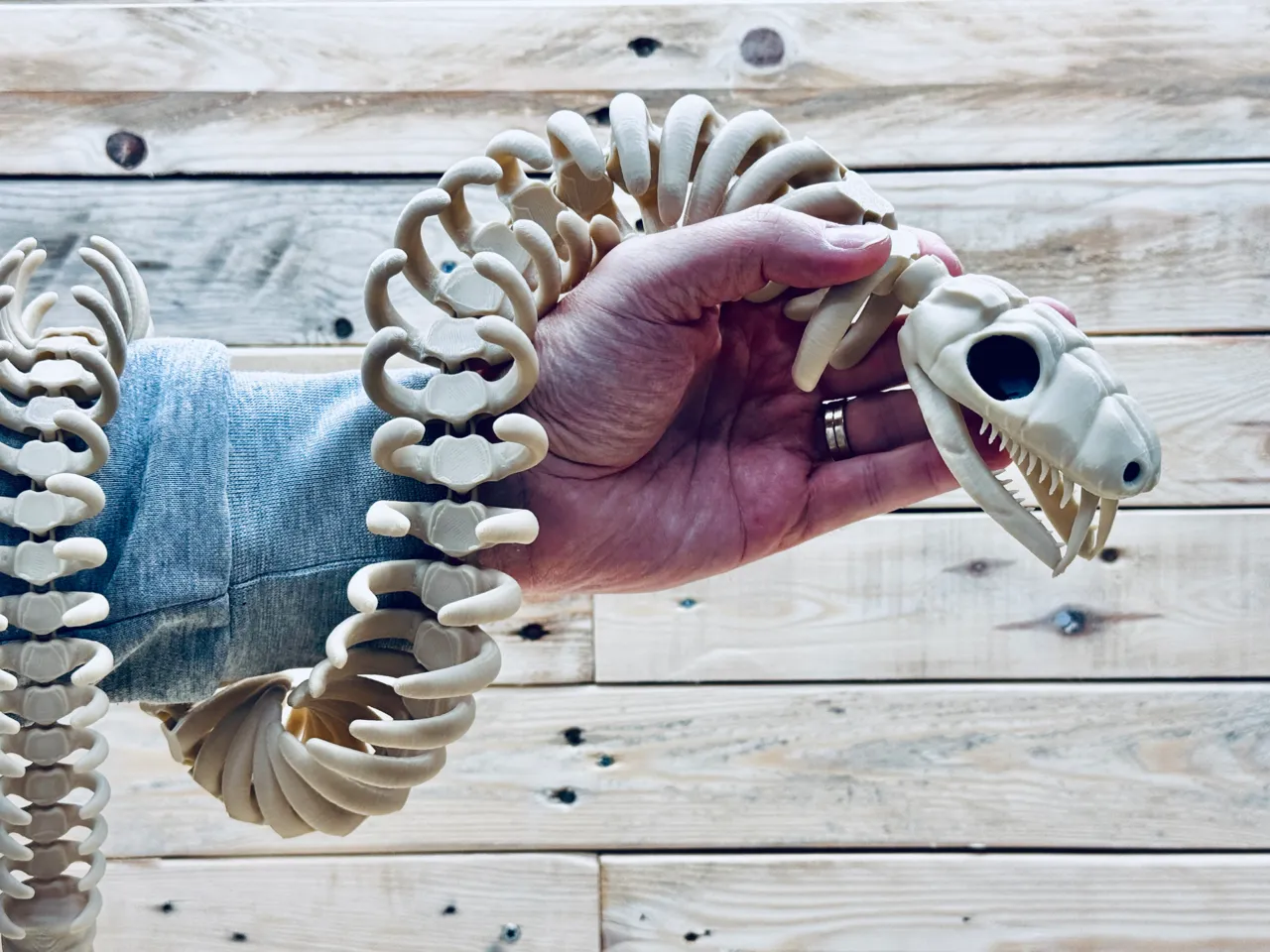 Articulated snake skeleton view 4
