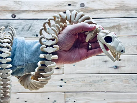Articulated snake skeleton view 4