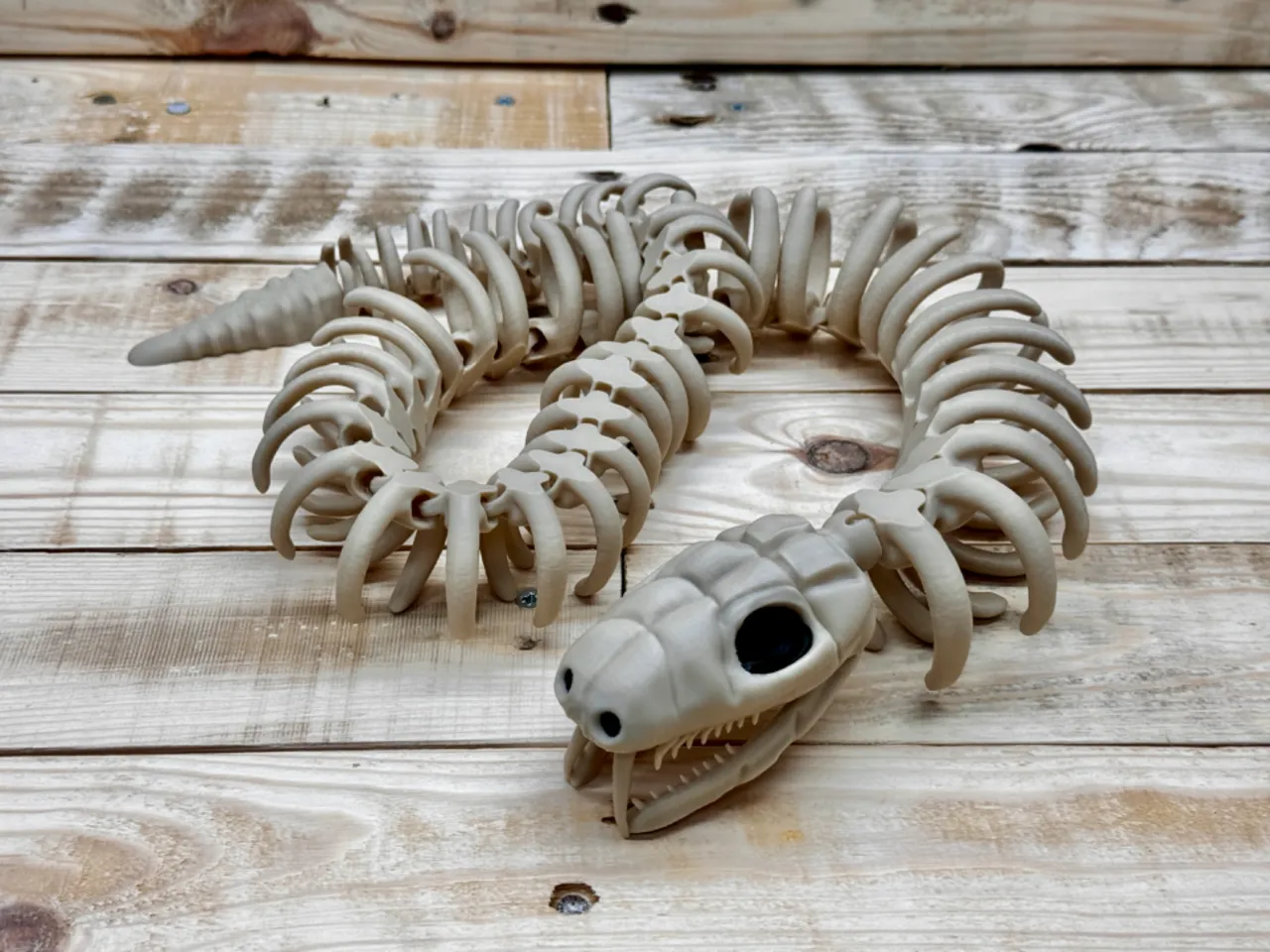 Articulated snake skeleton view 3