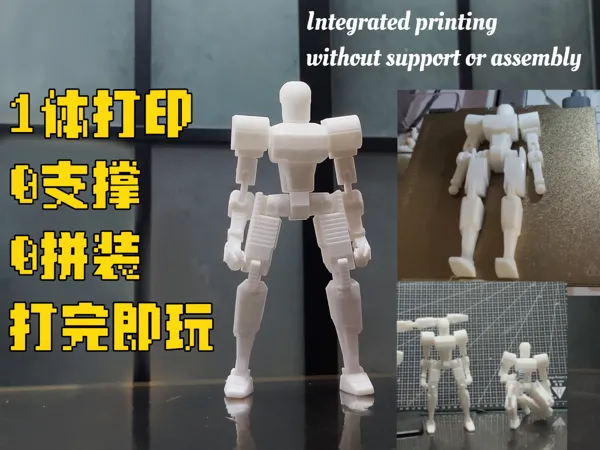 https://makerworld.bblmw.com/makerworld/model/USd6ffbcfb557aa2/design/2025-01-07_855968b43c342.jpg
