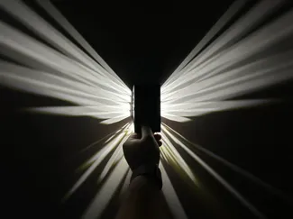 鸟类投影灯壳