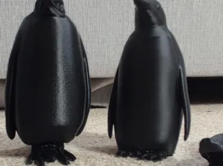 Gentoo penguin