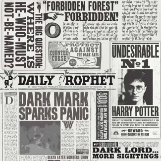 Harry Potter Newspaper 200mmx200mm