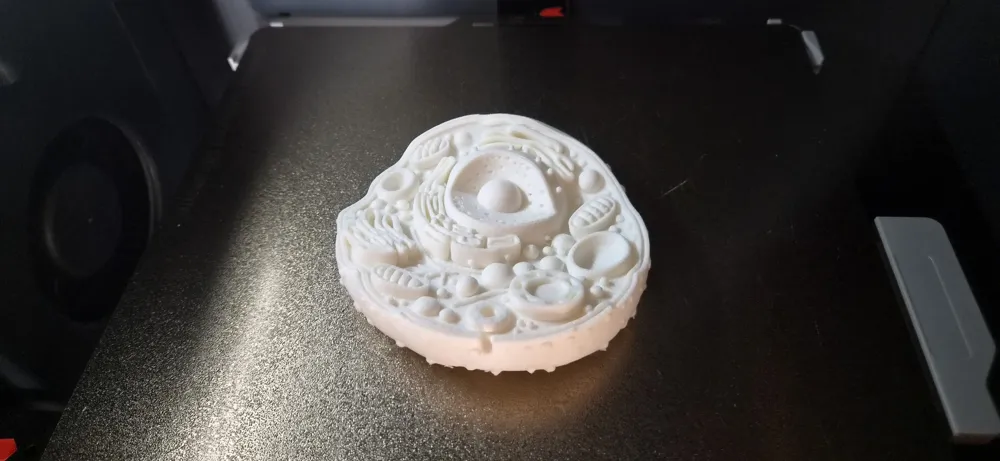 Human cell model (Enlarged) - Free 3D Print Model - MakerWorld