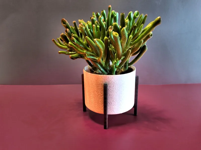 Simple Raised Planter