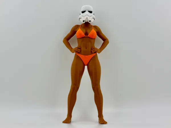 https://makerworld.bblmw.com/makerworld/model/USd70e52f2c2d77a/design/2025-11-01_b394ff88b48928.jpeg