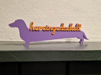 Hereingedackelt II (Kein AMS)