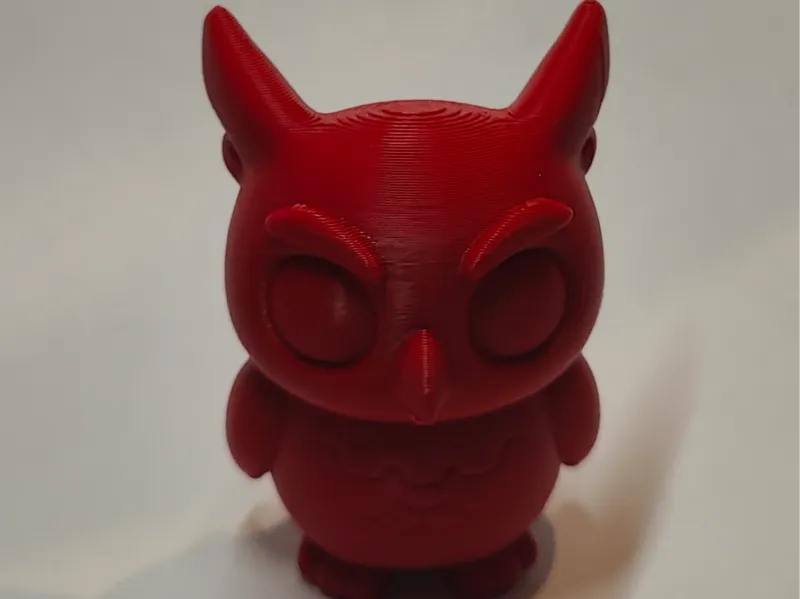Hootsy - the tiny nocturnal guardian
