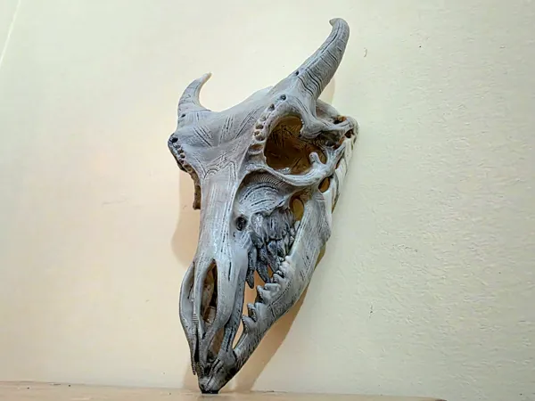 https://makerworld.bblmw.com/makerworld/model/USd71897ebe01e58/design/2025-12-08_b7dd15462cdfa.jpg