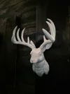 Jackalope Wall Mount - A1 MAX size - 2 plates