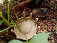 0.2mm 层高, 6 层墙, 25% 填充
