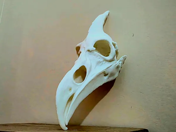 https://makerworld.bblmw.com/makerworld/model/USd71f69c8427000/design/2025-11-29_d46e699ef62f1.jpg